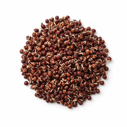 Quinoa (gekeimt & fermentiert)