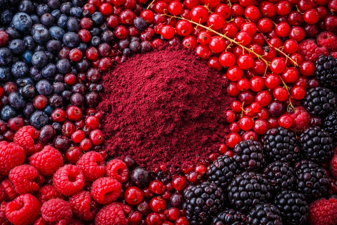 Red: <strong>Beerenkraft</strong> &amp; Polyphenole